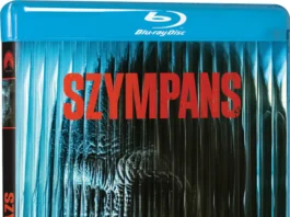 Szympans
