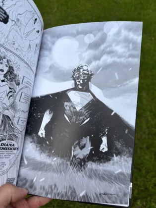 DC Absolute Noir