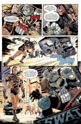 PUNISHER. TOM 2